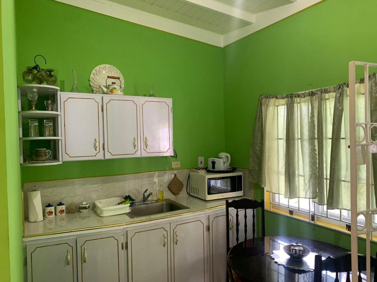 Shalom Suite 2, Manor Park Kingston Zewnętrze zdjęcie