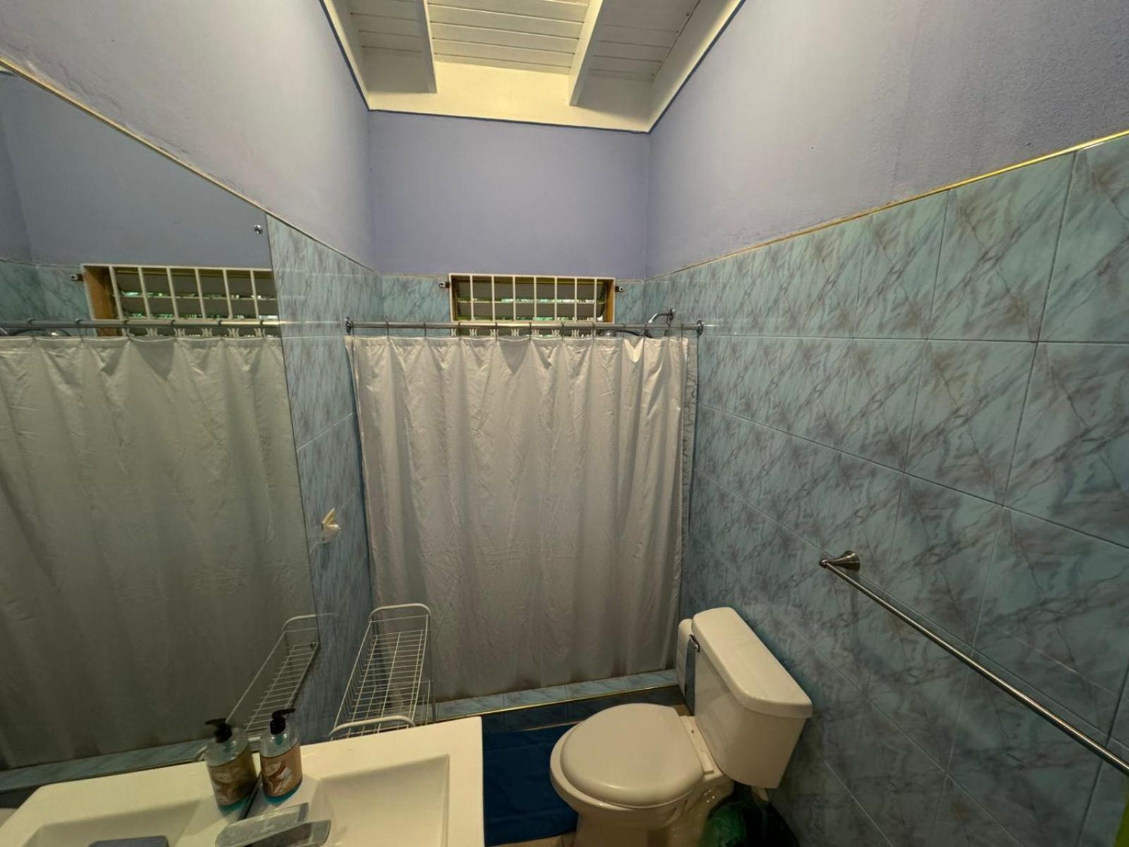 Shalom Suite 2, Manor Park Kingston Zewnętrze zdjęcie