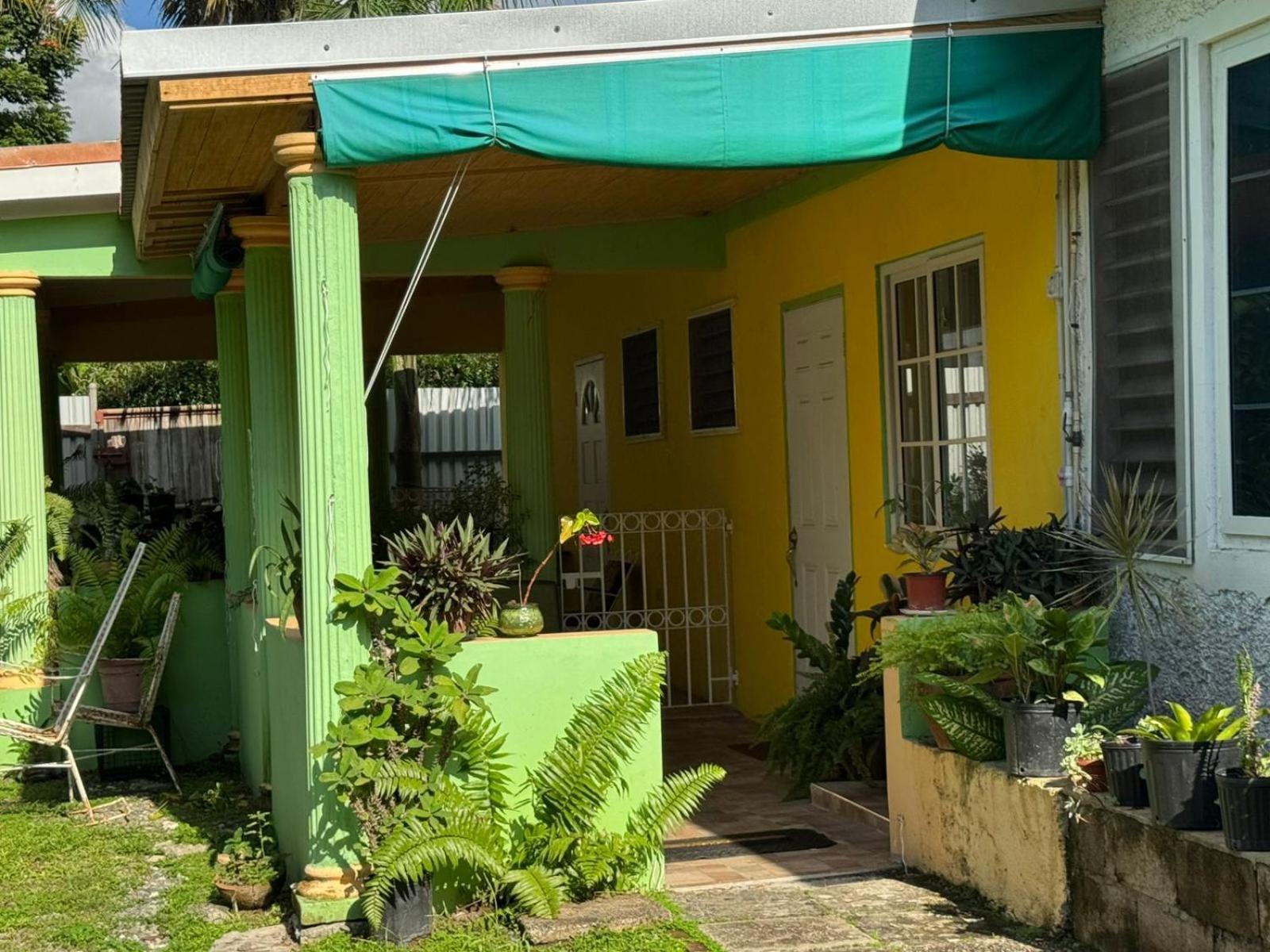 Shalom Suite 2, Manor Park Kingston Zewnętrze zdjęcie